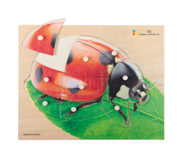 Holz-Puzzle realistisch Marienkäfer (10 Teile)