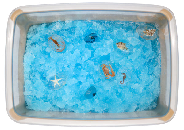 Schleim blau Set 12 x 50g