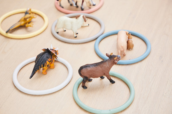 Aktivitätsringe Set 6