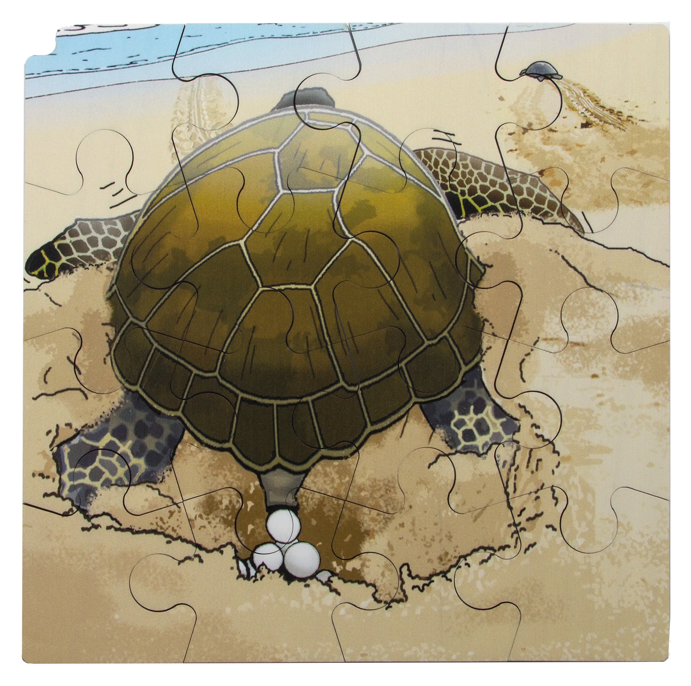 Puzzle Kreislauf des Lebens "Schildkröte"