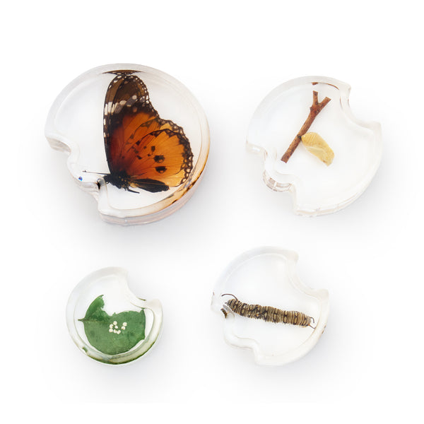 Acrylsteine Entwicklung Set 3