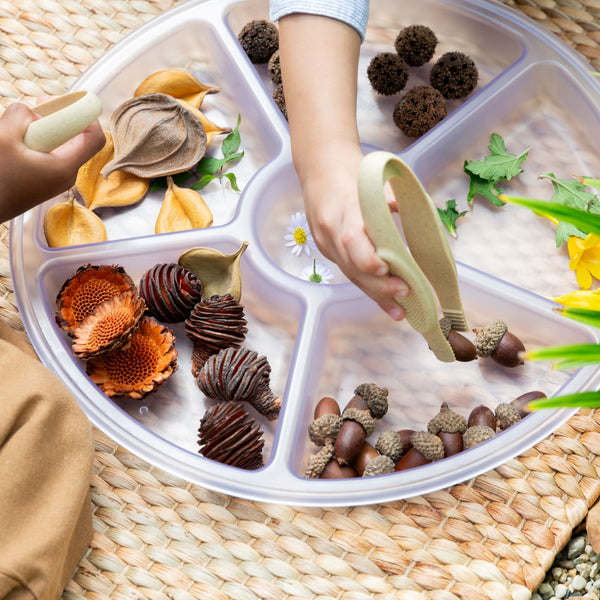 Sortierschalen transparent Set 4