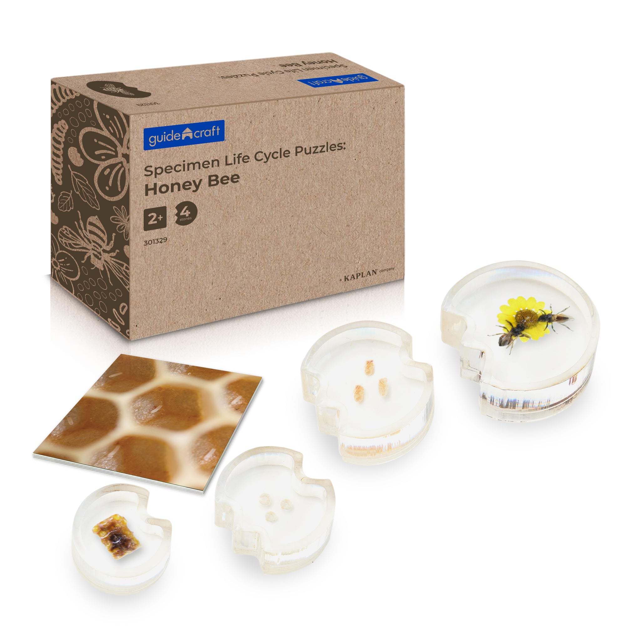 AKTION Entwicklung erforschen Set 19