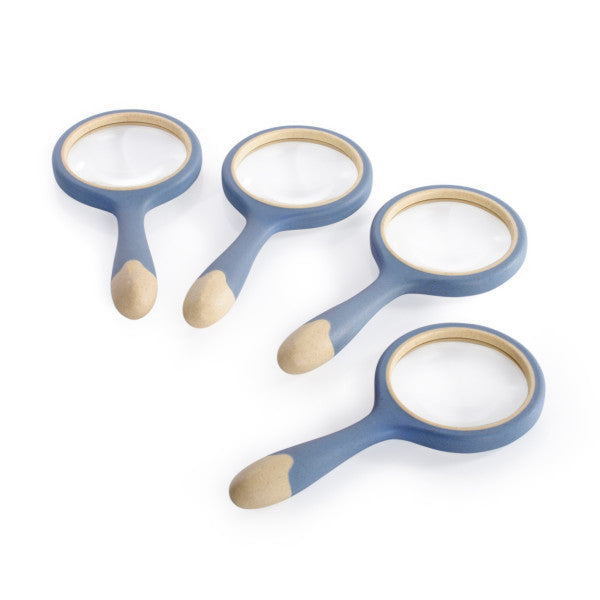 AKTION Entwicklung erforschen Set 19