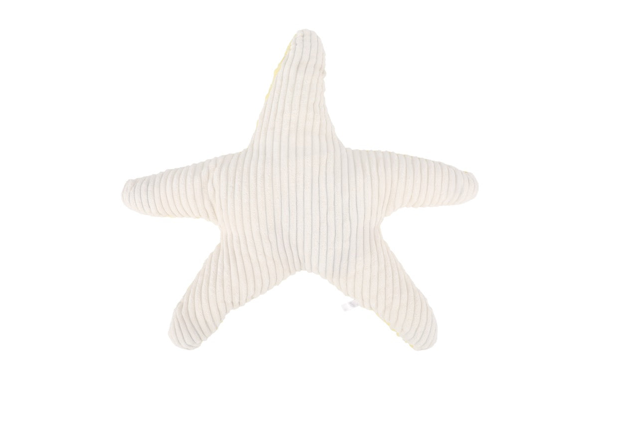 Gewichtstier Seestern 0,9 kg