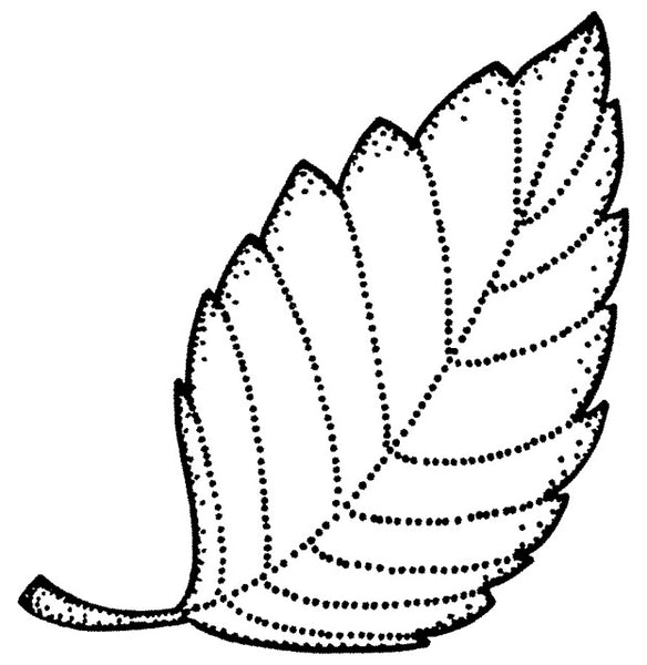 Stempel 