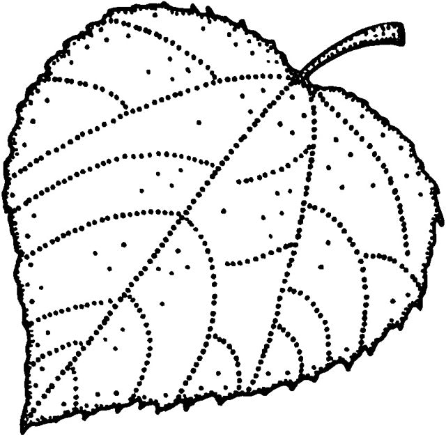 Stempel "Herbst & Weihnachten" Set 11