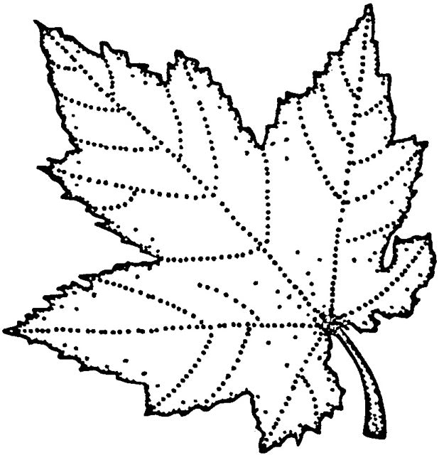 Stempel "Herbst & Weihnachten" Set 11