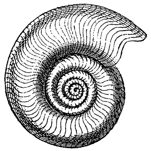 Stempel 