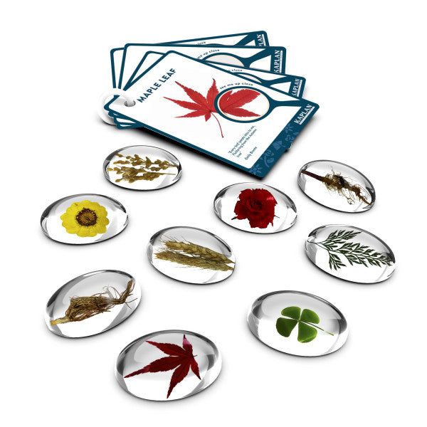 Acrylsteine Pflanzen