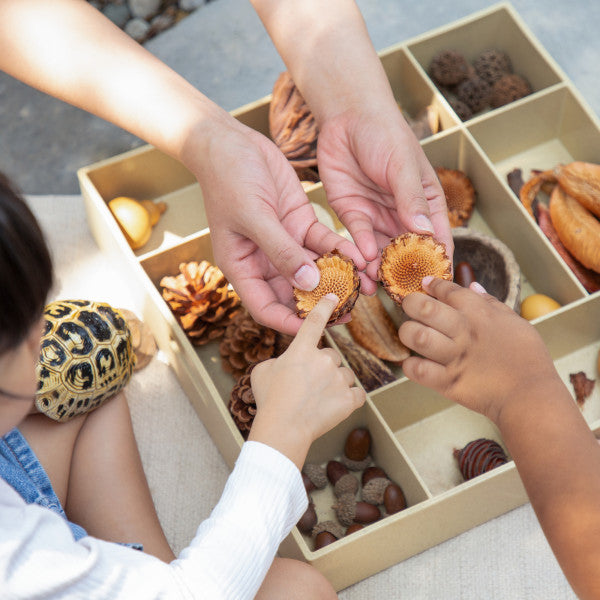 Loose Parts 