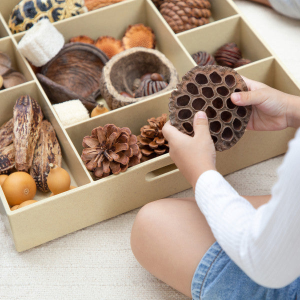 Loose Parts 