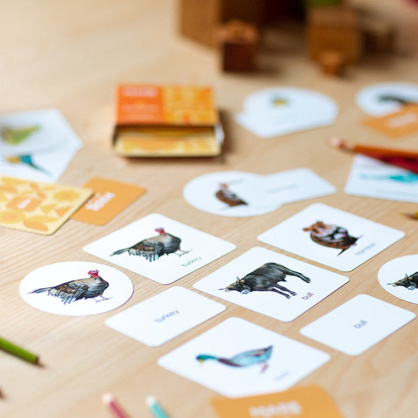 MARE Mini Sprachlernkarten Set 4 Themen