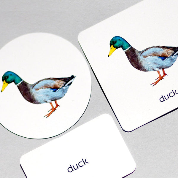 MARE Mini Sprachlernkarten Set 4 Themen