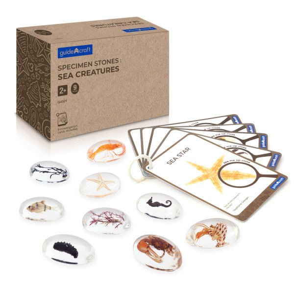 Acrylsteine Meerestiere