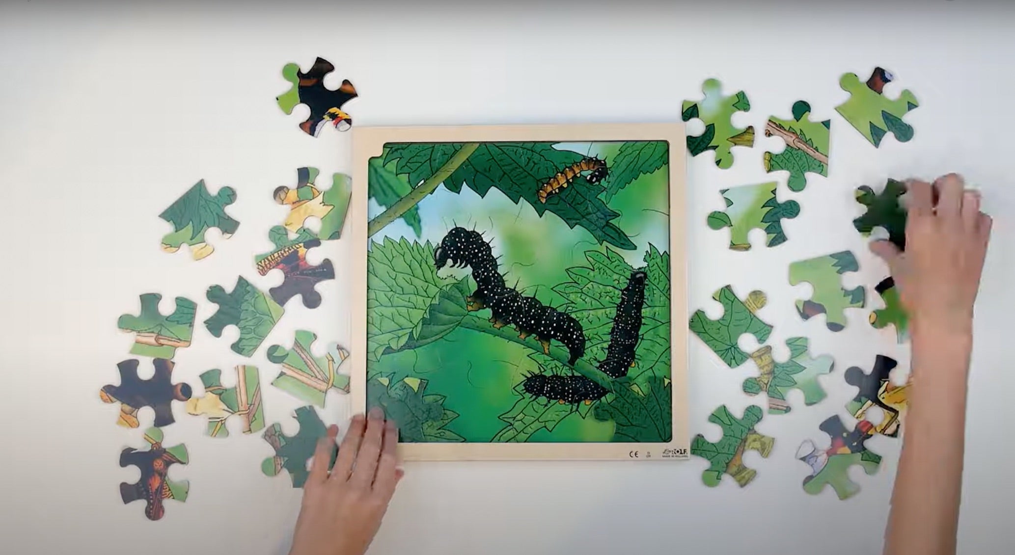 Puzzle Kreislauf des Lebens 