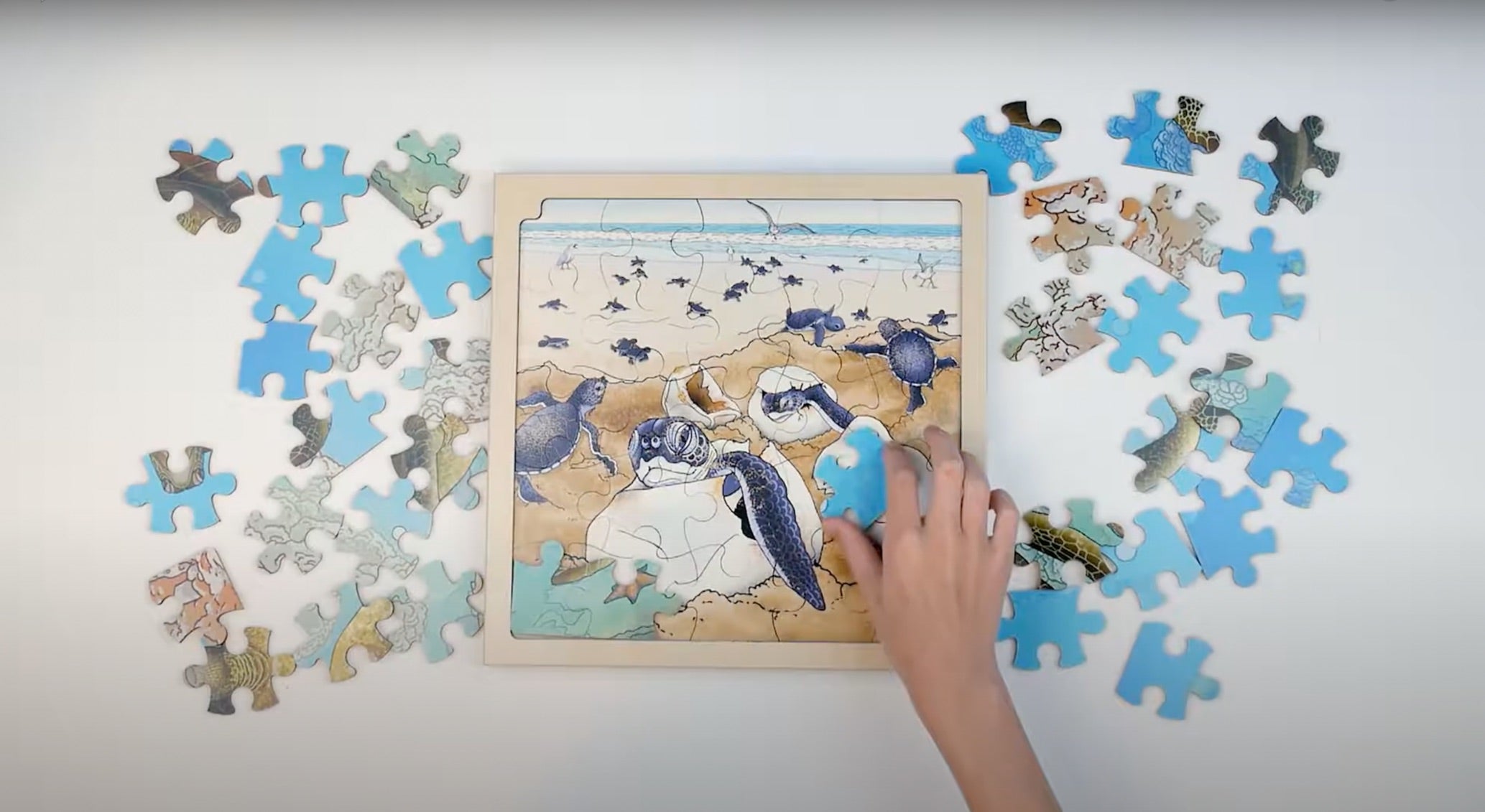 Puzzle Kreislauf des Lebens 