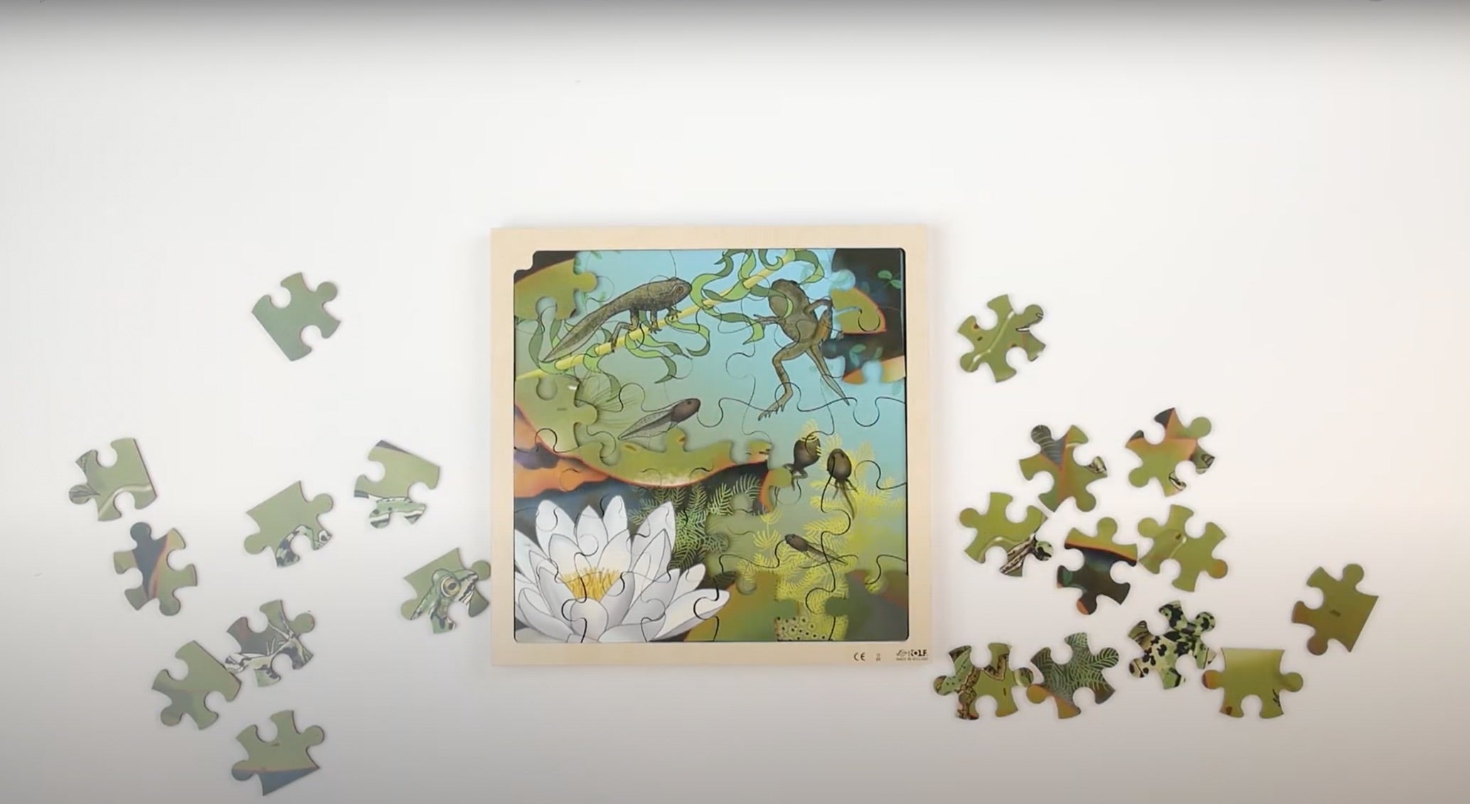 Puzzle Kreislauf des Lebens 