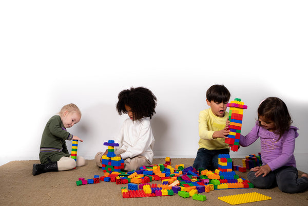 Biobuddy Large Blocks Set 500